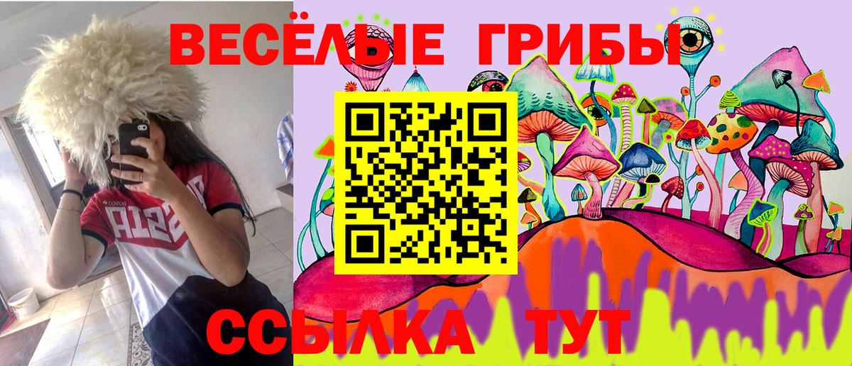 Киселёвск  Псилоцибиновые грибы прущие грибы  Вход с VPN 