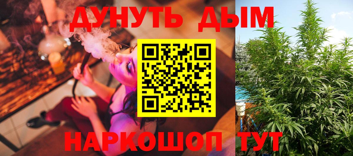 Конопля тримм Киселёвск